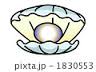 images (28)