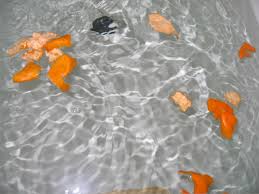 images-21