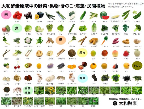 大和酵素 本草 の原料はなに